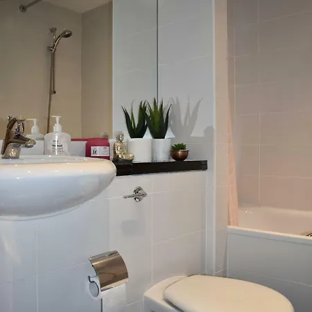 Bright 2 Bedrooms Near The 3 Arena