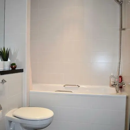 Bright 2 Bedrooms Near The 3 Arena